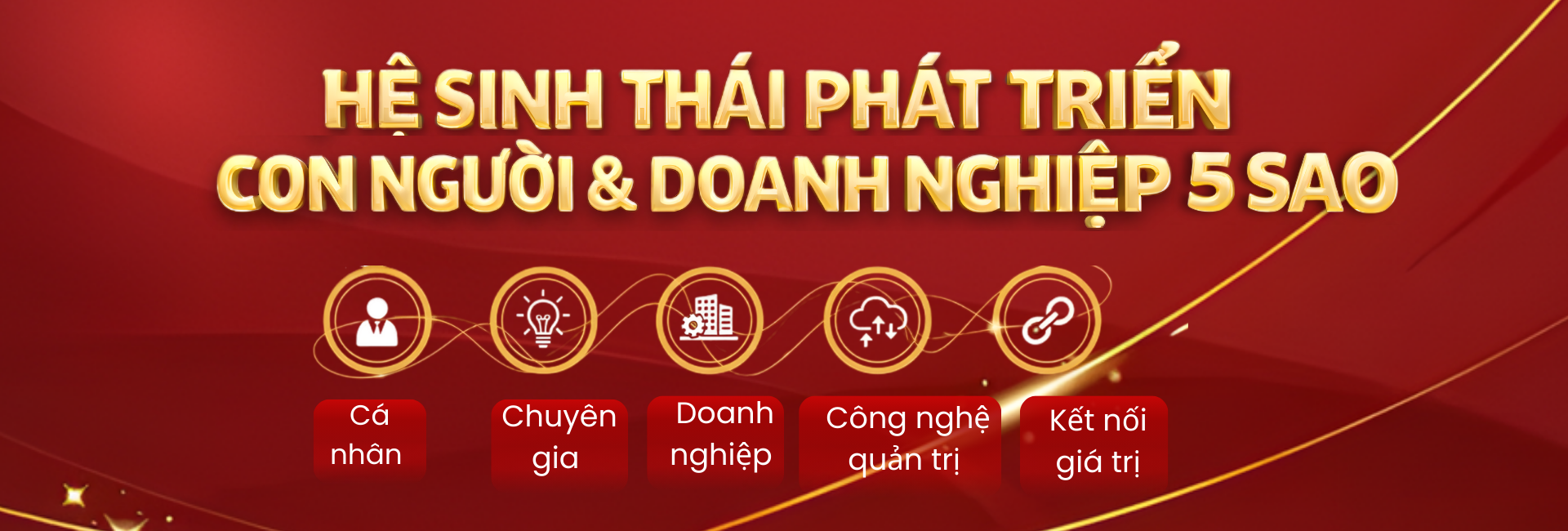 hệ sinh thái V-Torch
